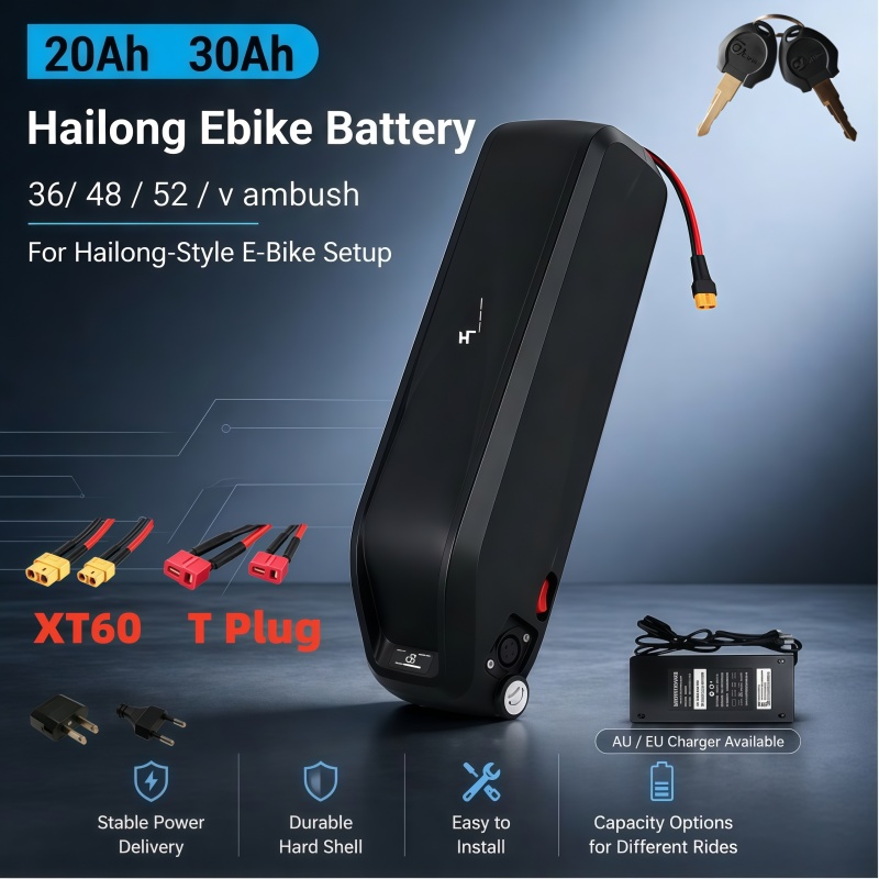 Versatile Hailong Battery, Mul - Ebike Battery 48V 20Ah Hailong ulasan dan harga
